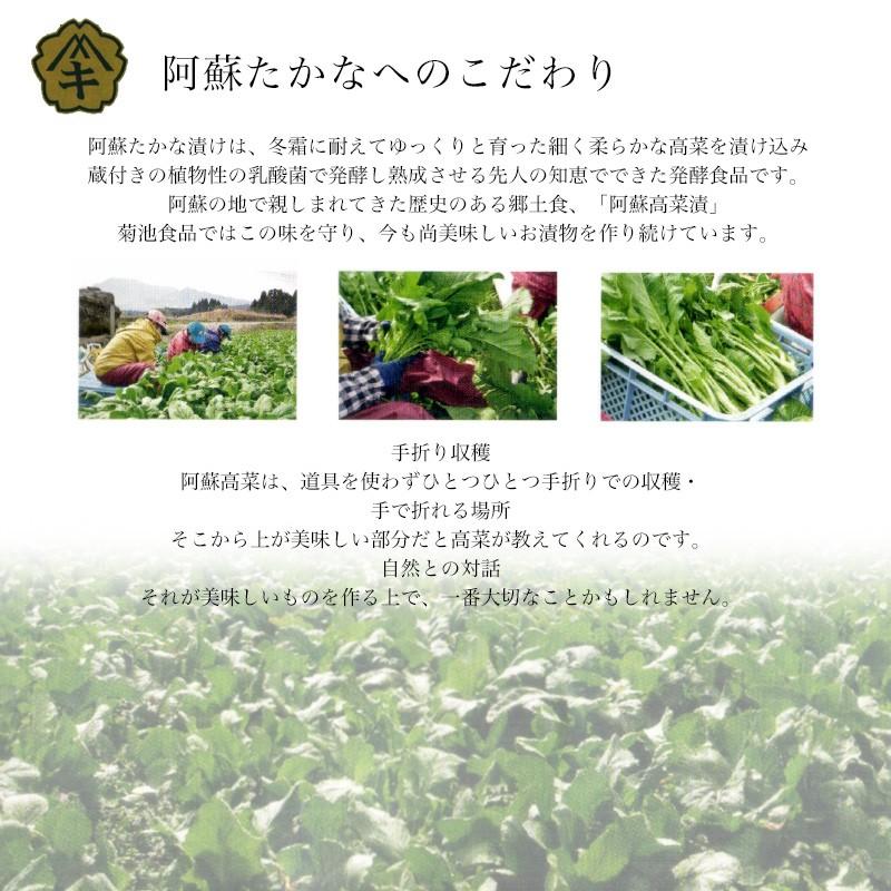 高菜漬け 阿蘇高菜 高菜油いため 4袋(2袋×2セット) 熊本 紙バッグ入