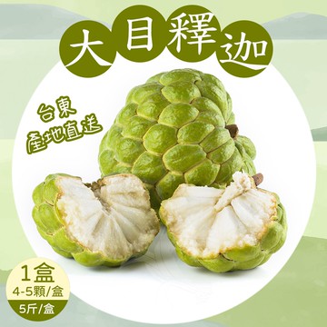 【禾鴻】台東優質大目釋迦5斤x1盒(4-5顆/盒_大果)