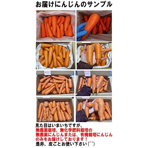 青森期待の新人商店 無農薬にんじん 5kg 国産 有機栽培 ジュース用 人参 鮮度保持袋セット