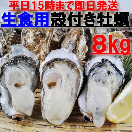 魚介類 牡蠣 生食用 牡蠣殻付き 牡蠣 ８ｋｇ（約90粒）松島牡蠣屋 牡蛎 産地直送