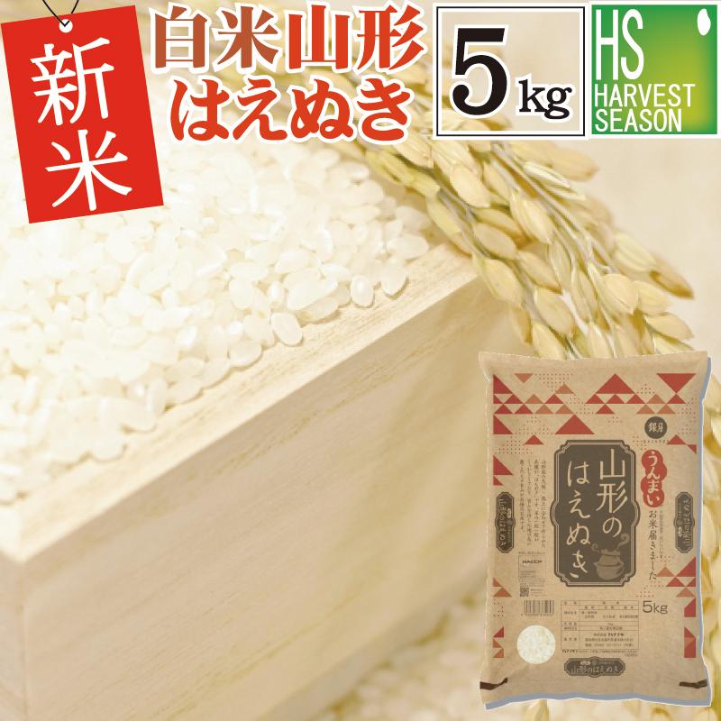 新米 5kg はえぬき 山形県産 白米 精白米 令和5年産 送料無料