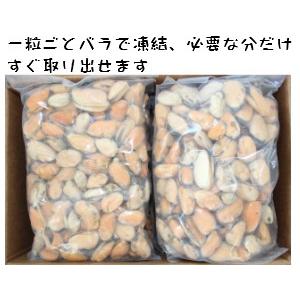 ムール貝　むき身（冷凍）1kg剥き身100-200粒入