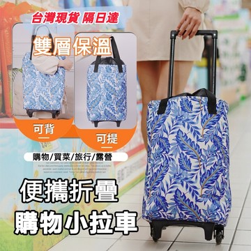 【台灣現貨+隔日達🚚】菜籃車 買菜車 購物車 摺疊購物車 菜籃 買菜拉車 拉桿車 推車 承重20kg 拉桿購物車