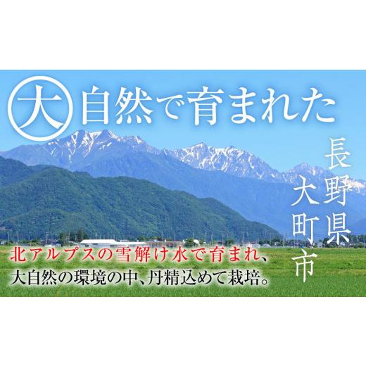 ふるさと納税 長野県 大町市 2023 長野県産　クイーンニーナ　約1kg　6パック粒採り　国際特許 有機肥料栽培 