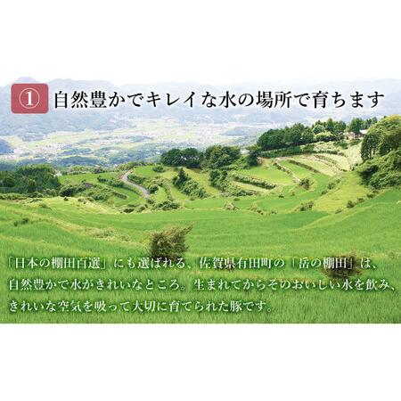 ふるさと納税 N160-1  ありたぶた バラエティAセット (豚肉6種) 12回 定期便 小分け 真空パック 豚肉 ロース バラ .. 佐賀県有田町