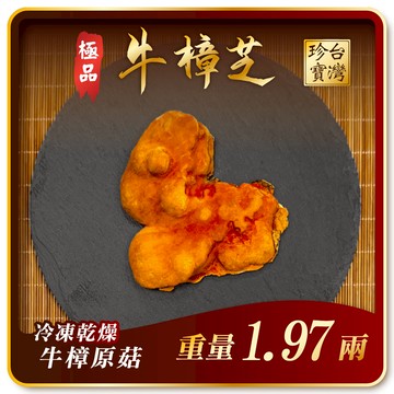 寶芝靈極品嚴選｜牛樟椴木子實體（冷凍乾燥牛樟菇20000以上品級）約1.97兩