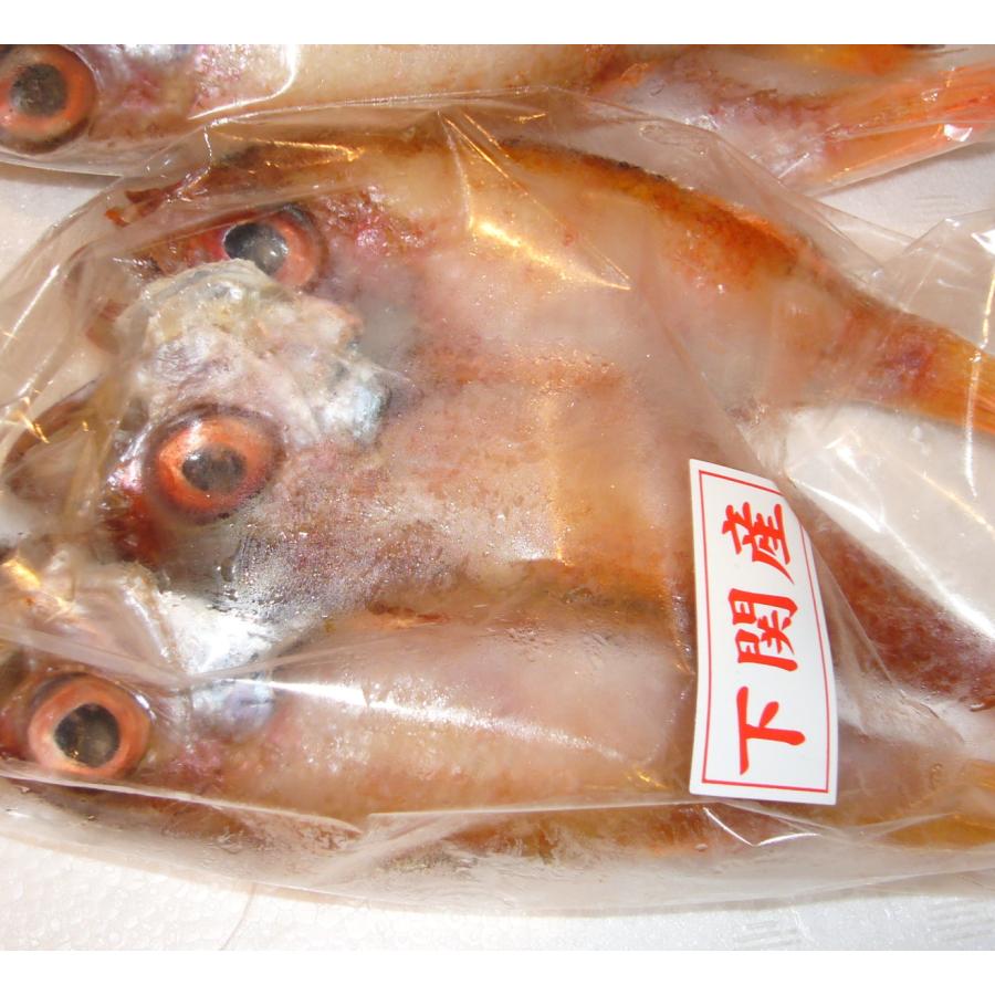 高級魚ノドグロの丸干し 1袋3尾入り