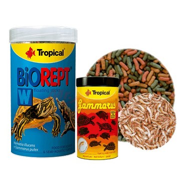 P老闆水族~Tropical 新高蛋白烏龜成長飼料 高蛋白乾蝦 澤龜 烏龜飼料 過濾 爬蟲 德比克 GEX烏龜專用底砂
