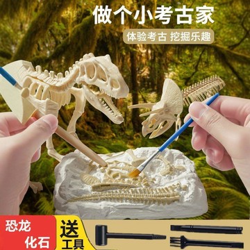 🎀樂貝兒優選🎀模拟考古挖掘 恐龍化石挖掘體驗套裝 石膏拼裝骨架 科學模型 霸王龍大號拼接 趣味组装拼搭 儿童益智玩具
