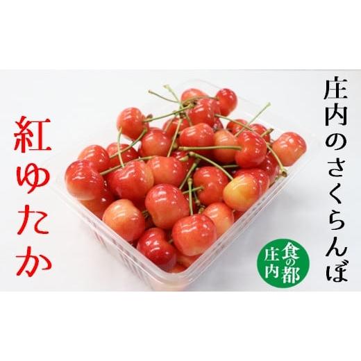 ふるさと納税 山形県 三川町 食の都庄内　庄内のさくらんぼ「紅ゆたか」800gバラ詰め※2024年6月上旬〜中旬頃発送予定