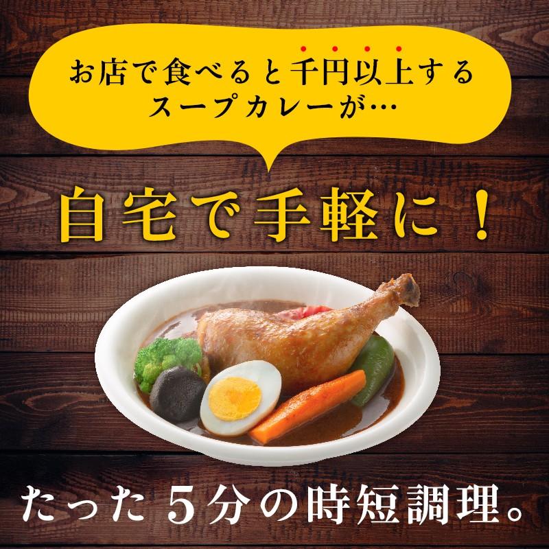 スープカレー レトルトカレー 2食(300g×2袋) 北海道からだ想いのスープカレー グルテンフリー 糖質オフ