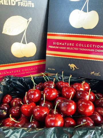 【帕查嬤嬤】??全球最強櫻桃 澳洲空運頂級 黑盒 塔斯馬尼亞櫻桃 原裝2公斤｜澳洲頂級櫻桃禮盒