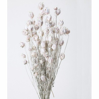 ポピー花束の通販 49件の検索結果 Lineショッピング