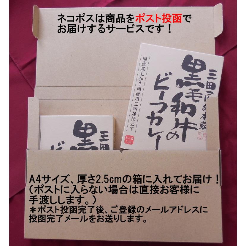 送料無料!大人気!三田屋総本家黒毛和牛のビーフカレー2個セット（ネコポス）