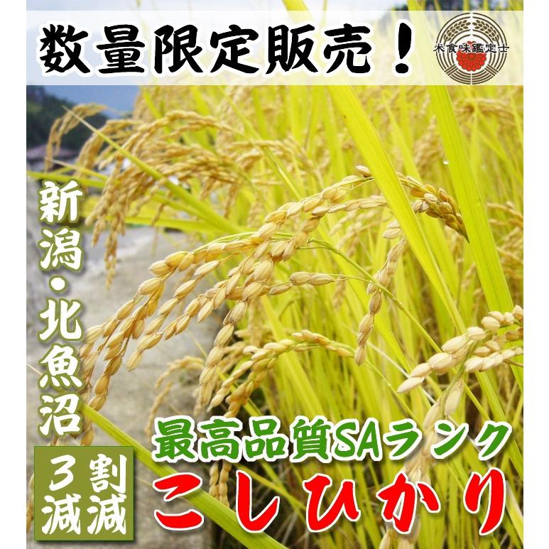 北魚沼産 コシヒカリ 令和4年産 白米 5kg