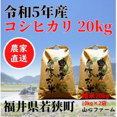 ふるさと納税 若狭町 福井県若狭町コシヒカリ(1等米)20kg