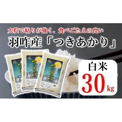 ふるさと納税 羽咋市 石川県産　つきあかり　30kg(10kg×3袋)　白米