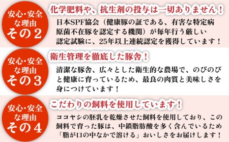 やっちゃおいしか芳寿豚バラエティセット 計3000g 南島原市   芳寿牧場[SEI021]