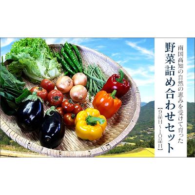 ふるさと納税 高知市 季節の野菜詰め合わせセット　