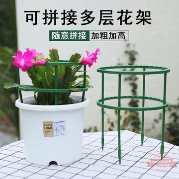 爬藤花枝架蟹爪蘭花支架花支架支架防倒伏支撐桿蘭花護葉護花支架