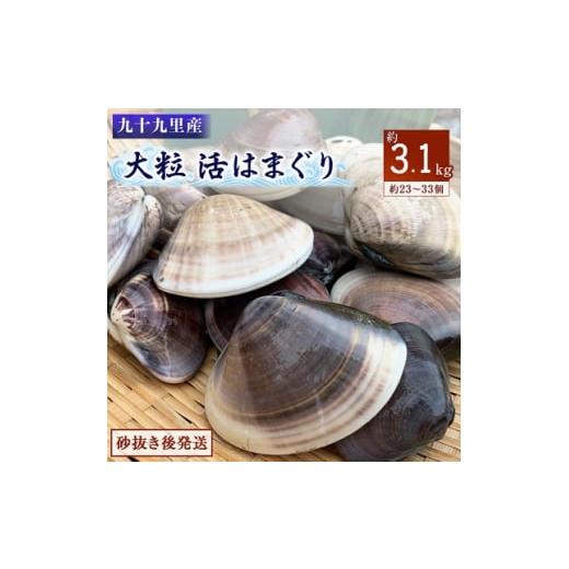 ふるさと納税 千葉県 旭市 九十九里産　大粒活はまぐり　約3.1kg