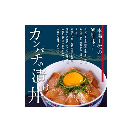 ふるさと納税 高知県 芸西村 「かんぱちの漬け丼の素」1食80g×5P＜高知市共通返礼品＞