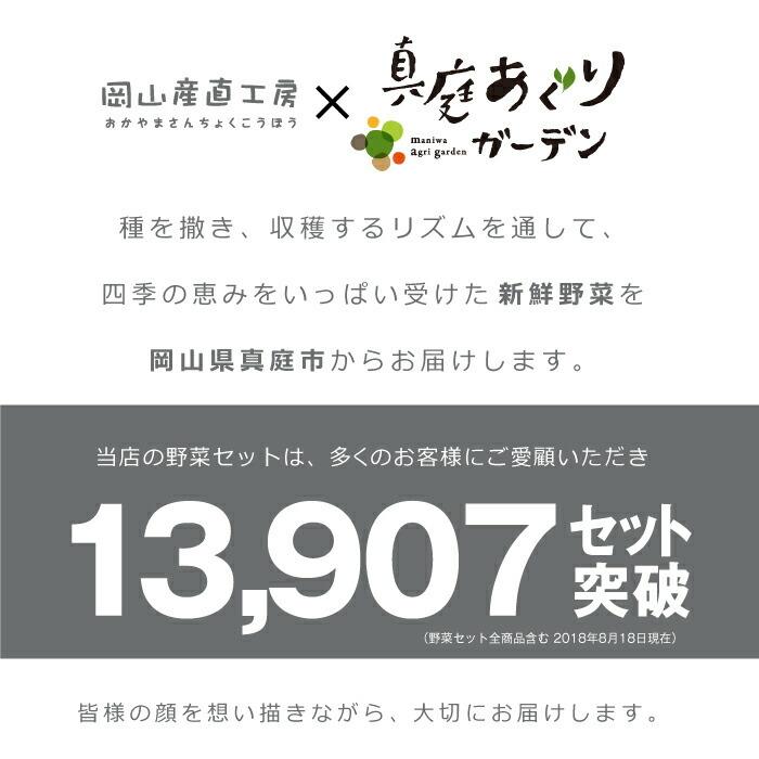 野菜セット 真庭あぐり野菜セット 7〜8品 カット野菜入り 送料無料