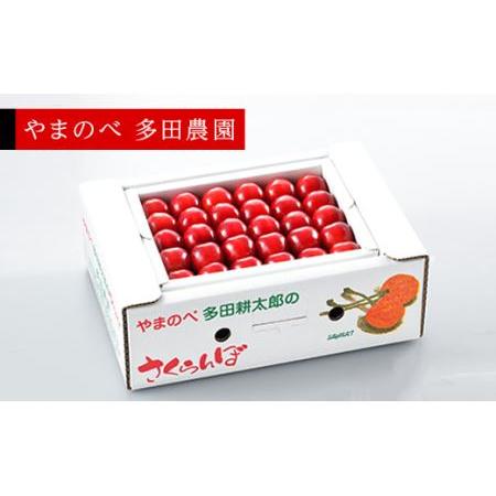 ふるさと納税 《先行予約》2024年 山形県産 「真夏のルビー紅姫」本詰 約500g L〜2L やまのべ多田耕太郎のさくらんぼ サクランボ F20A-786 山形県山辺町