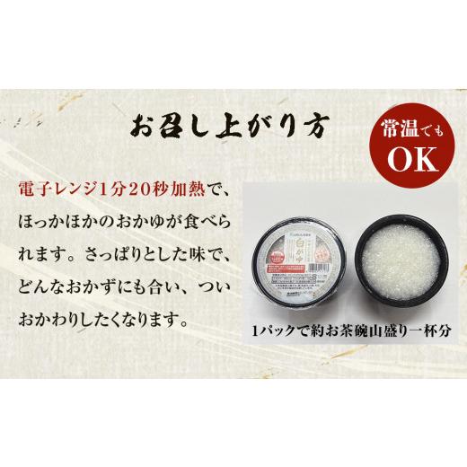 ふるさと納税 宮城県 石巻市 パックご飯 白がゆ 250g×24個 宮城県産 ササニシキ お粥 常温