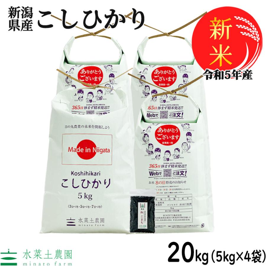 新米 米 お米 白米 精米 こしひかり 20kg （5kg×4袋） 令和5年産 新潟県産 古代米お試し袋付き