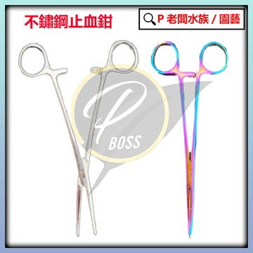P老闆漁具~不鏽鋼止血鉗 彩鈦 18cm  解鉤 釣魚 必備 路亞 假餌 磯釣 前打 寵物 美容 拔毛 清潔
