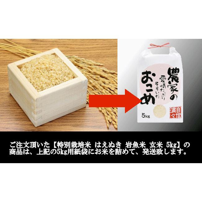 特別栽培米はえぬき岩魚米 （令和５年産）玄米 5kg