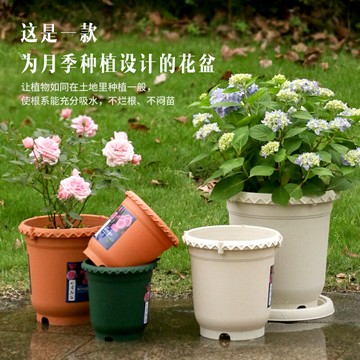 月季花盆種植盆加厚樹脂塑料控根排水透氣薔薇爬藤植物插孔支架盆