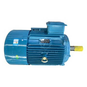 品揚供應4級鑄鐵電機大功率電動機變頻電機三相異步電動無刷全銅[DD1211001]