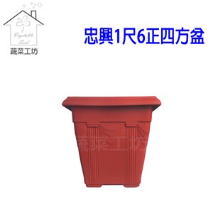 忠興1尺6正四方盆磚紅色