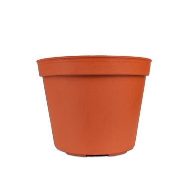 【蔬菜工坊】3.5吋荷蘭盆 30個/組