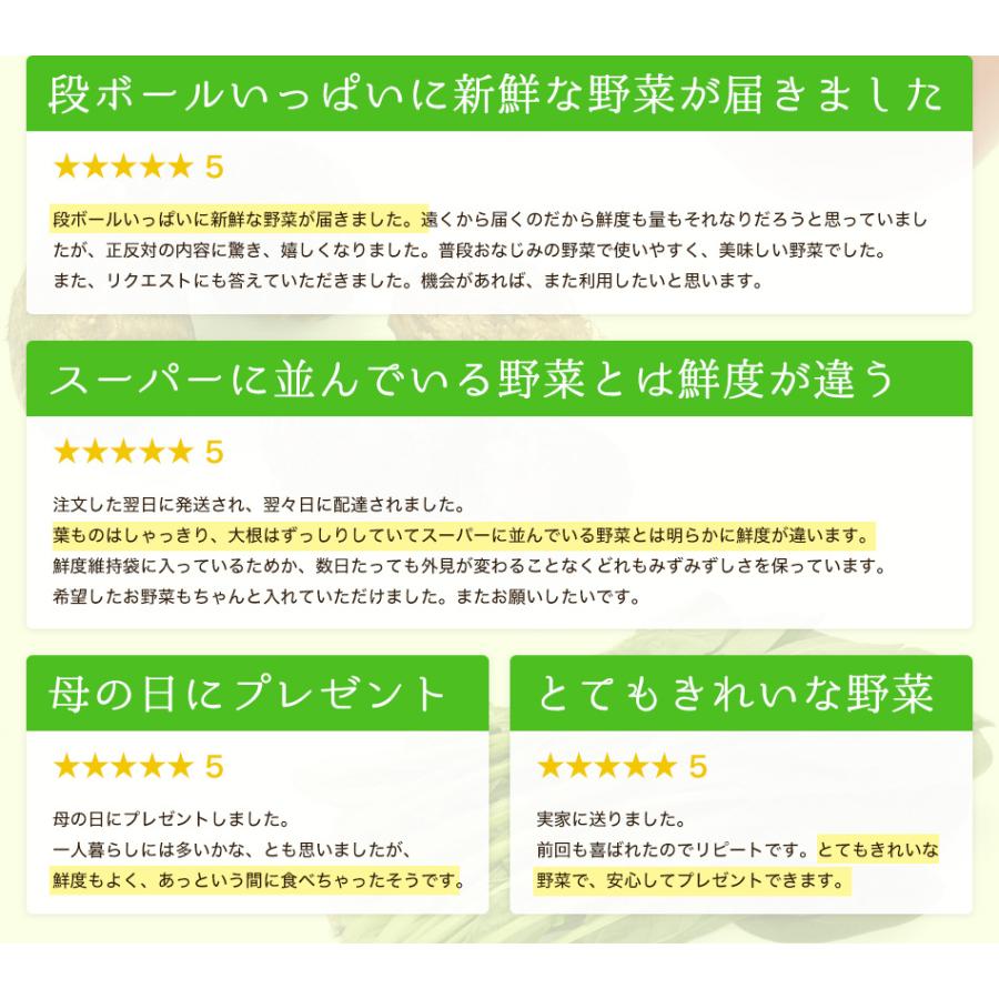 野菜セット 九州産 12品目 詰め合わせ 国産 お試し