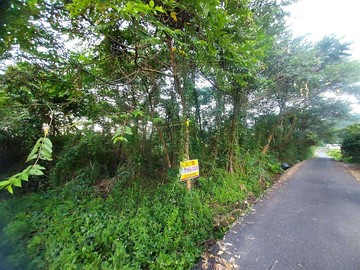 冬山鄉大進超大面寬美農地｜宜蘭縣冬山鄉大進段