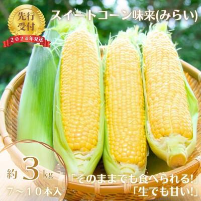 ふるさと納税 村田町 とうもろこし味来(みらい　約3.0kg)　数量限定