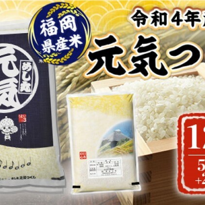 米 12kg 令和5年産 元気つくし 福岡県産 お米