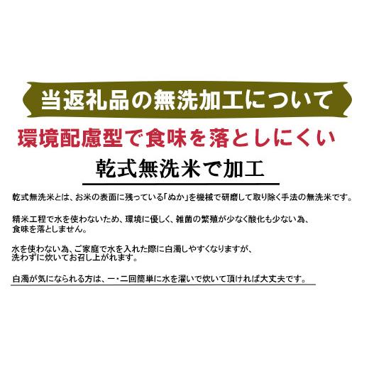 ふるさと納税 佐賀県 鹿島市 E-99鹿島市産厳選さがびより（無洗米）白米 ３０kg