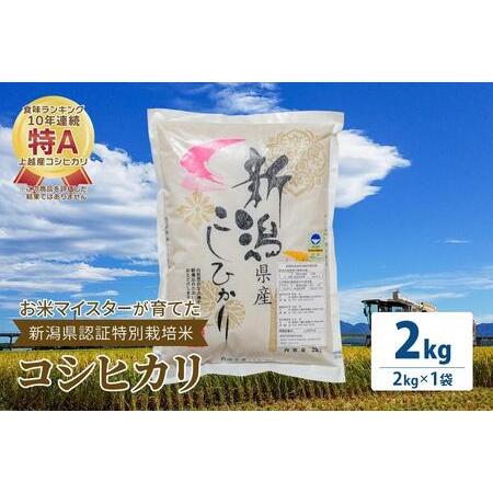 ふるさと納税 お米マイスターが育てた特別栽培米 コシヒカリ 上越頸城産 令和5年産 2kg(2kg×1袋)白米 新潟県上越市