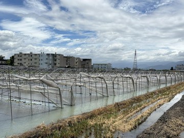 攜手迎向北宜新時代!宜蘭高鐵特區722坪美農地｜宜蘭縣壯圍鄉新福段