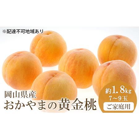 ふるさと納税 桃 2024年 先行予約 ご家庭用 おかやま の 黄金桃 約1.8kg（7〜9玉） もも モモ 岡山県産 国産 フルーツ 果物 岡山県倉敷市