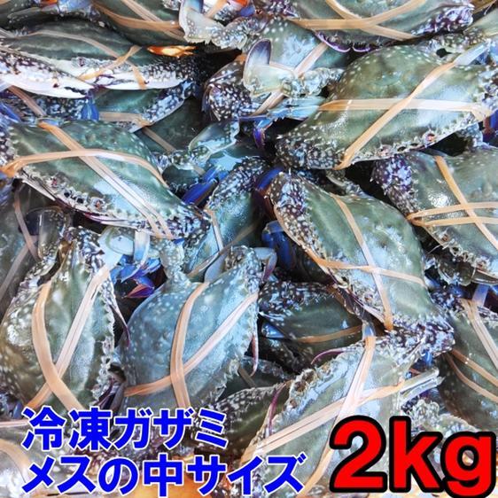 魚介類 カニ ワタリガニ メス中 冷凍発送２ｋｇ（約９杯）ガザミ渡り蟹 産地直送