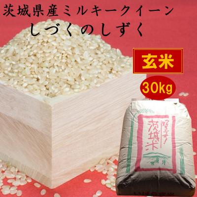 ふるさと納税 かすみがうら市 茨城県産ミルキークイーンしづくのしずく30kg(玄米)