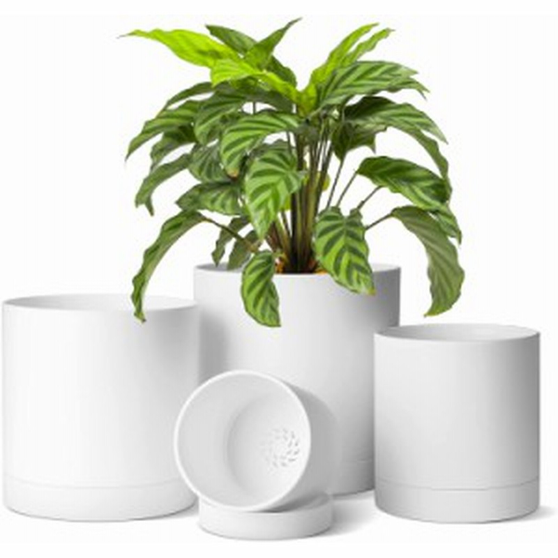 植木鉢 プラスチック プランター 4点セット 受け皿付き 10 12 5 15 17 5cm 沢山の排水穴 円形 現代風 フラワーポット 室外室内 観葉植物 通販 Lineポイント最大1 0 Get Lineショッピング