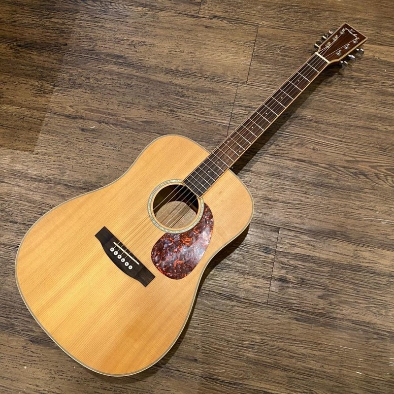 Kaalena Acoustic Guitar ESP カーレナ アコースティックギター