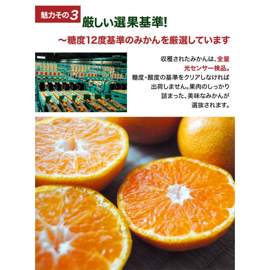 みかん 味ロマン 糖度12度選別 JA長崎せいひ 約2.5kg×2箱 外皮に傷あり (11月出荷：2S-M、12月出荷：S-L) ※常温　送料無料 長崎県 ご自宅用 訳あり