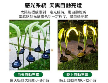 太陽能仿真狗尾草燈 庭園景觀草坪裝飾燈 花園燈 仿真花 地插燈 仿真芒草燈 太陽能燈 仙女燈 婚禮裝飾燈 美化 麥穗燈
